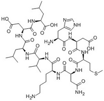 Anti-Inflammatory Peptide 2