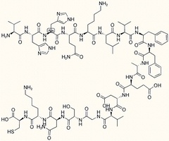 Beta-Amyloid (12-28)-Cys