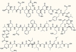 Beta-Amyloid (1-37)