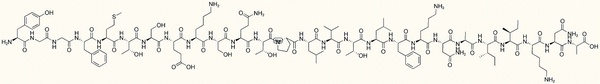 Beta-Endorphin (1-26)