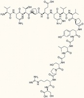 Big Endothelin-1 (22-38)