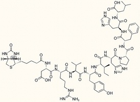 Biotin-Angiotensin I