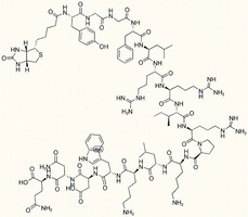 Biotin-Dynorphin A (1-17)