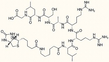Biotin-LC-Kemptide