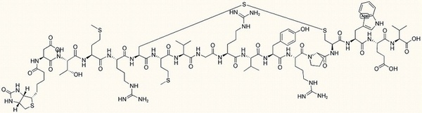 Biotin-MCH (Salmon)