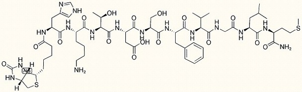 Biotin-Neurokinin A