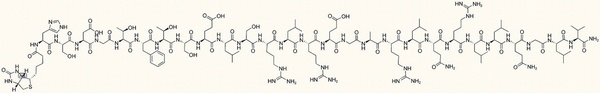 Biotin-Secretin