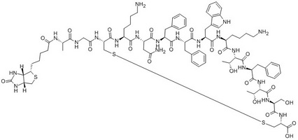 Biotin-Somatostatin-14