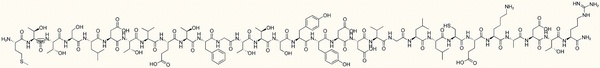 CC Chemokine Receptor 3 Fragment I amide