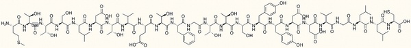 CC Chemokine Receptor 3 Fragment II