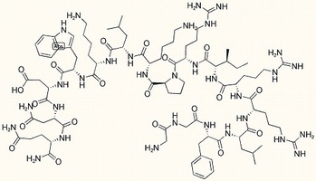 Dynorphin (2-17) amide