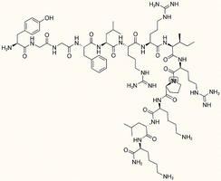 Dynorphin A (1-13) amide