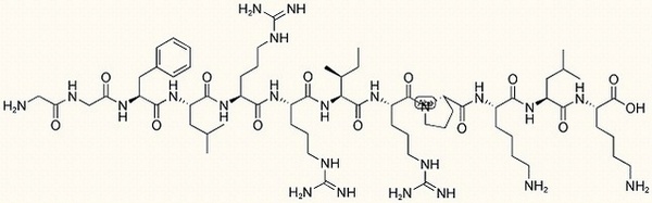 Dynorphin A (2-13)