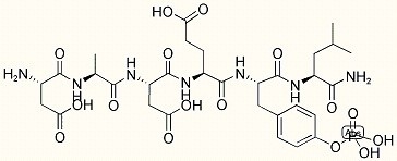 EGF Receptor (988-993) (phosphorylated)