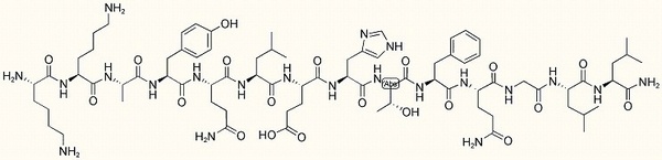 Endokinin C