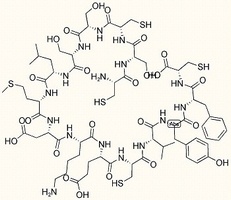 Endothelin-1 (1-15)