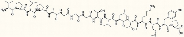 Gastrin Receptor Releasing Peptide (1-16)