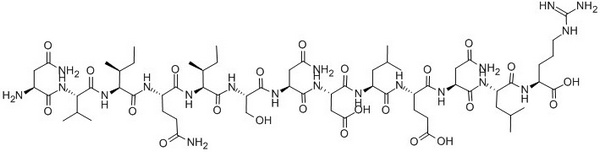 Leptin (93-105)