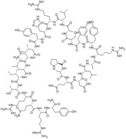 Neuropeptide Y (13-36)