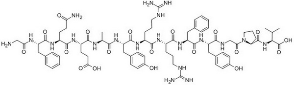 Osteocalcin (37-49)