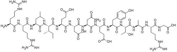 pp60 (v-SRC) Autophosphorylation Site