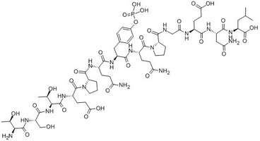 pp60 c-SRC (521-533) Phosphorylated