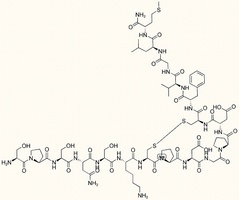 Scyliorhinin II amide (Dogfish)