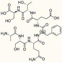 Synaptobrevin-2 (73-79)