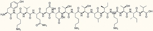 Tyr-Leptin (26-39)