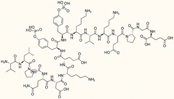 Tyrosine Protein Kinase JAK 2