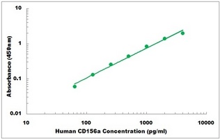 Human ADAM8 ELISA Kit