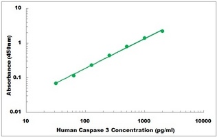 Human Caspase 3 ELISA Kit