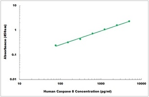 Human Caspase 8 ELISA Kit