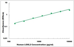 Human LOXL2 ELISA Kit