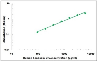 Human TNC ELISA Kit