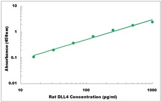 Rat DLL4 ELISA Kit