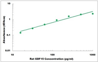 Rat GDF15 ELISA Kit