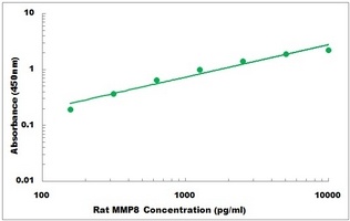 Rat MMP8 ELISA Kit