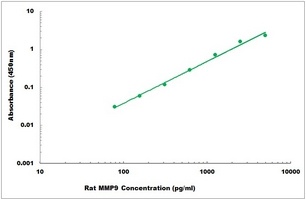 Rat MMP9 ELISA Kit