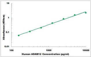 Human ADAM12 ELISA Kit