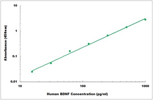 Human BDNF ELISA Kit