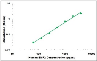 Human BMP2 ELISA Kit