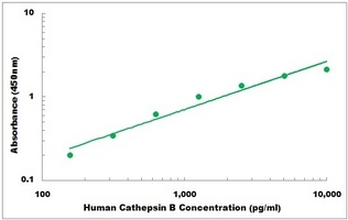 Human CTSB ELISA Kit