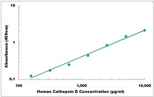 Human CTSD ELISA Kit