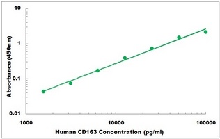 Human CD163 ELISA Kit