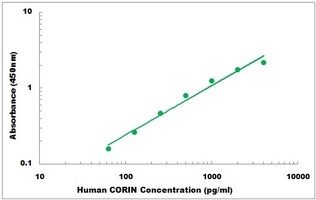 Human CORIN ELISA Kit