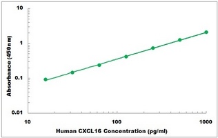 Human CXCL16 ELISA Kit