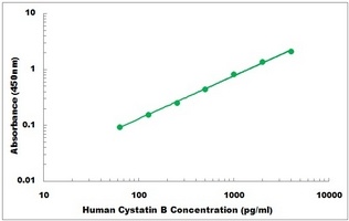 Human CSTB ELISA Kit