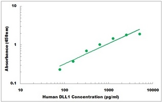 Human DLL1 ELISA Kit