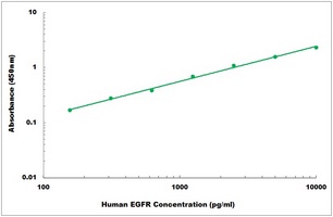 Human EGFR ELISA Kit